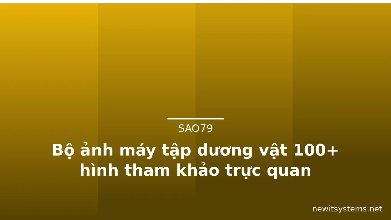 Bộ ảnh máy tập dương vật 100+ hình tham khảo trực quan